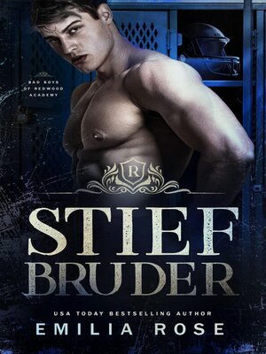 cover image of Stiefbruder